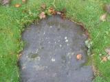 image of grave number 711160
